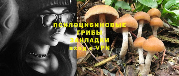 кокс Карпинск