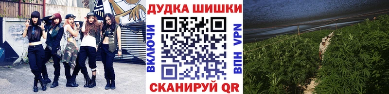 Купить  Михайловск  Марихуана семена 